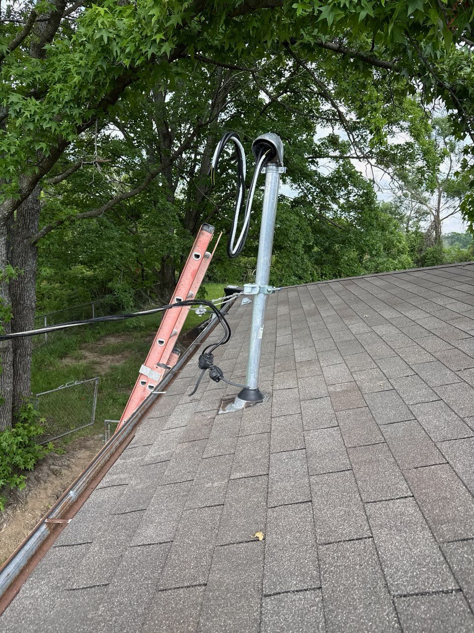 Roof with two leaning ladders and a metal pipe near tree branches over a shingled surface