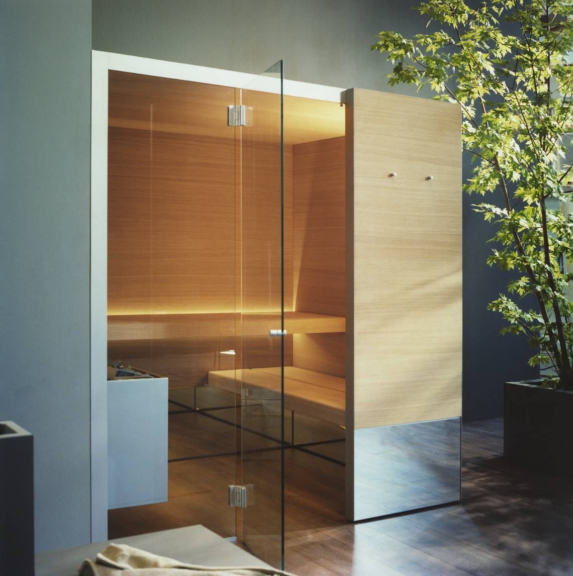 Una sauna in legno con una porta in vetro e una pianta sullo sfondo