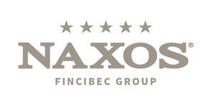 Il logo del gruppo naxos fincibec è grigio e bianco