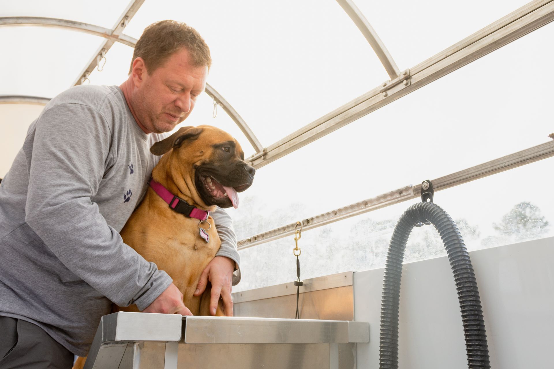 A man is standing next to a brown dog on a table.
