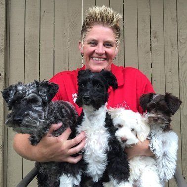 A woman in a red shirt is holding four small dogs in her arms.
