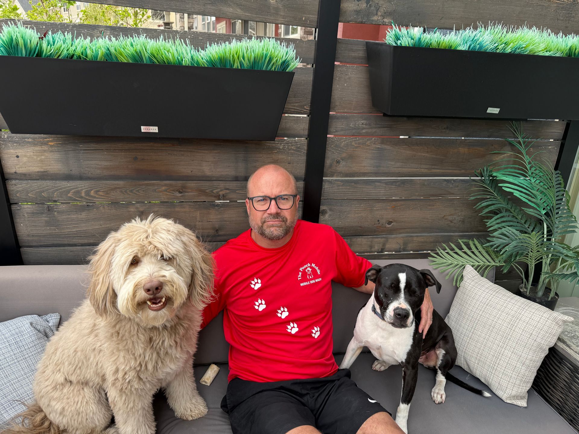 man  in red shirt sitting on couch with fluffy white dog and black and white dog