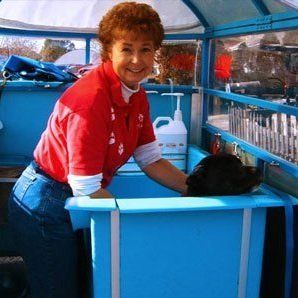 A woman in a red shirt is washing a dog in a blue tub.