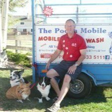 A man is sitting on the back of a trailer with two dogs.