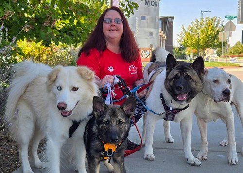 A woman is standing next to a group of dogs on a sidewalk.