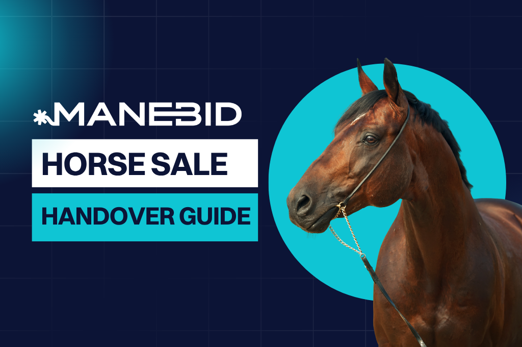 horse sale handover guide graphic with brown horse on blue background