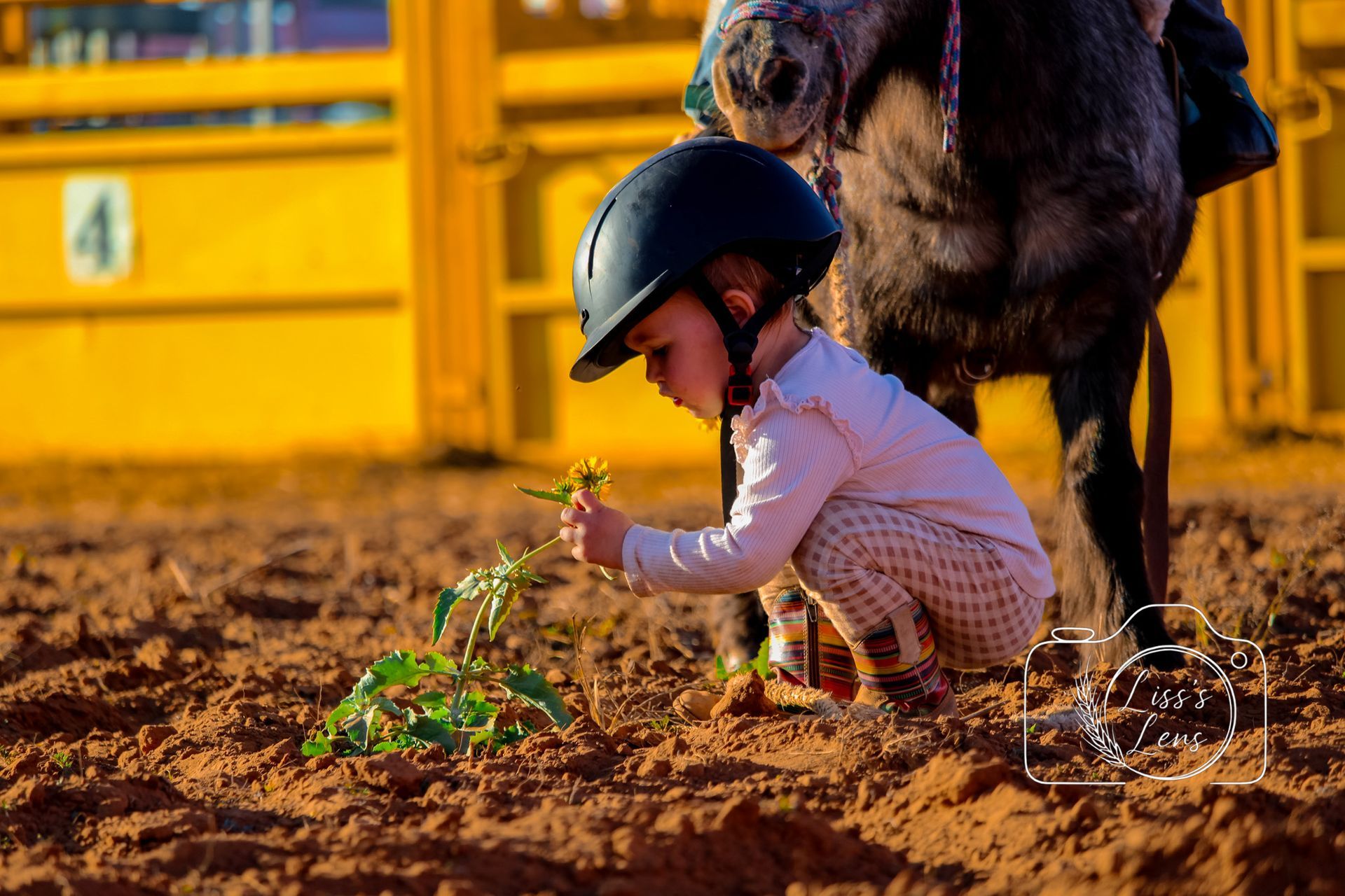 Child in a helmet planting a small sapling in muddy dirt beside a horse.