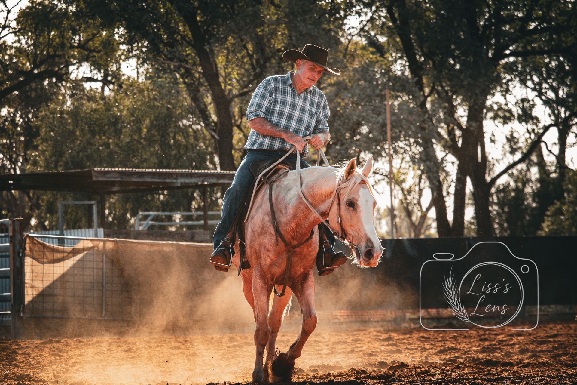 Cowboy riding a horse in a dusty arena at sunset, surrounded by trees.