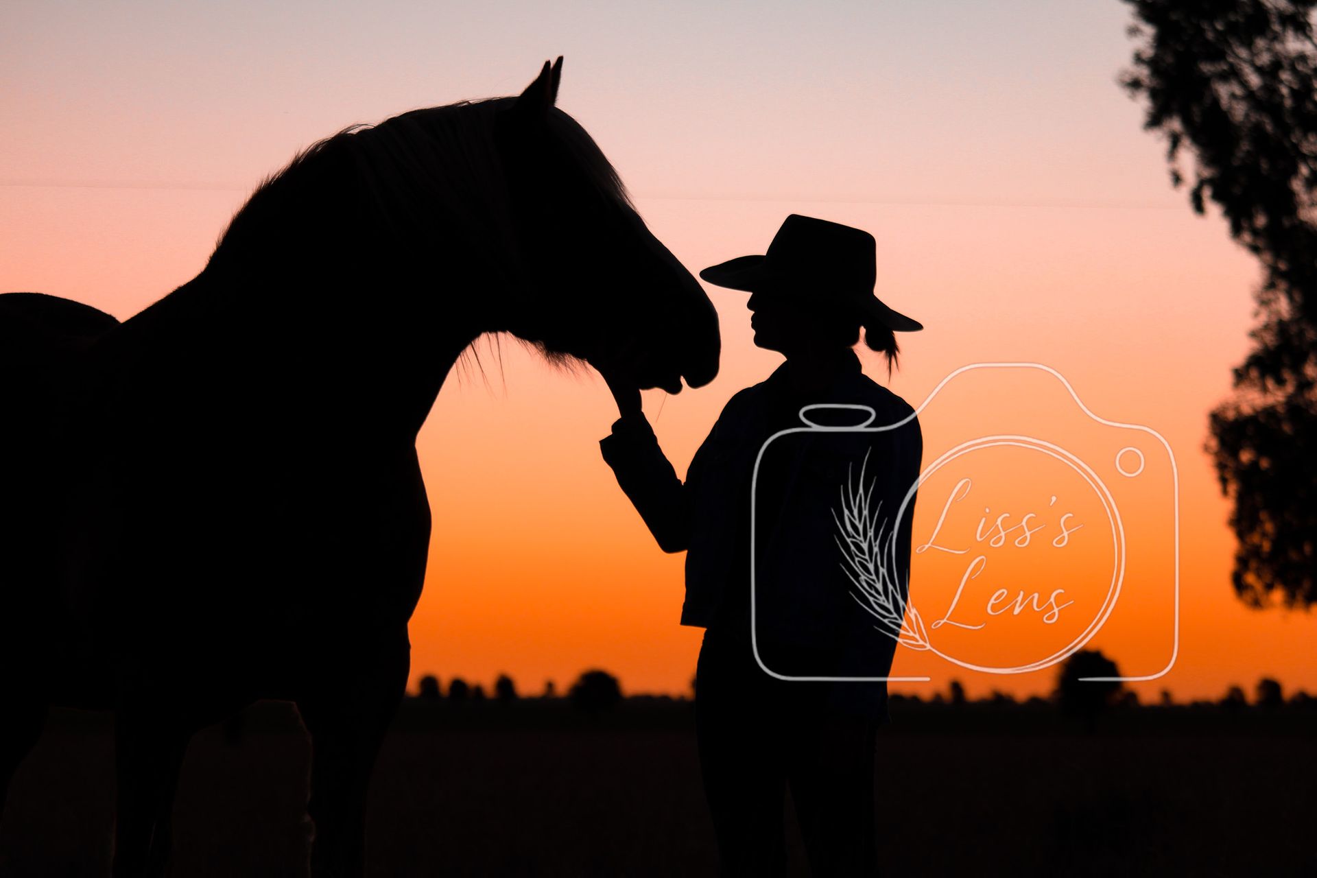 Silhouette of a person feeding a horse at sunset with orange sky background