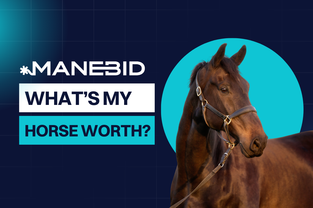 ManeBid ad with a brown horse and text “What’s my horse worth?” on a blue background