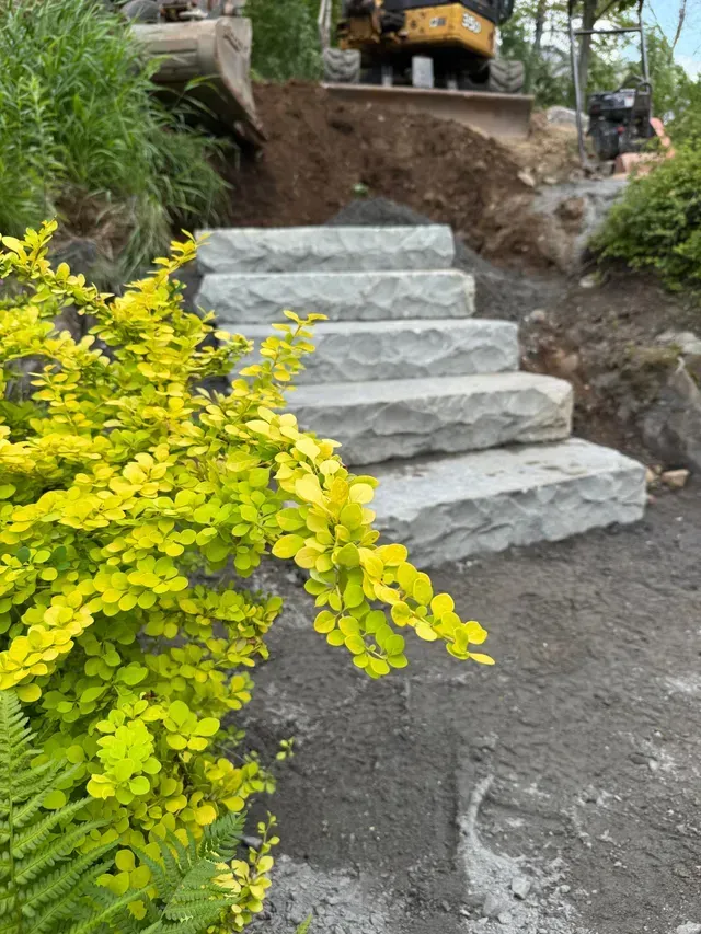 Des marches de pierre mènent à flanc de colline, au milieu d'un feuillage jaune vif et d'un sol sombre. Des engins de chantier sont visibles en arrière-plan.