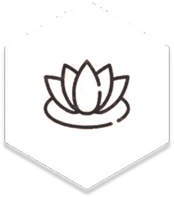 A dark line icon of a lotus flower centered inside a white hexagon.