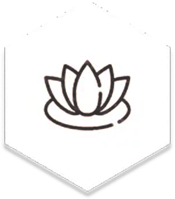A dark line icon of a lotus flower centered inside a white hexagon.