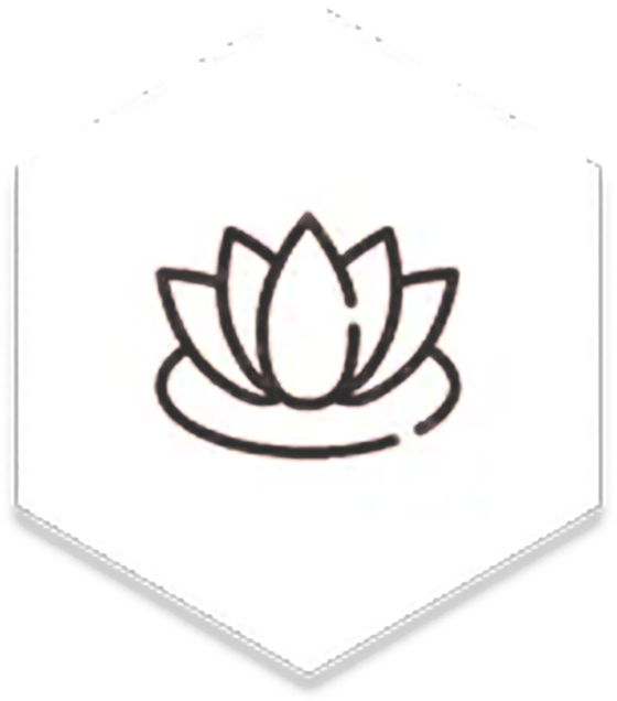 A dark line icon of a lotus flower centered inside a white hexagon.