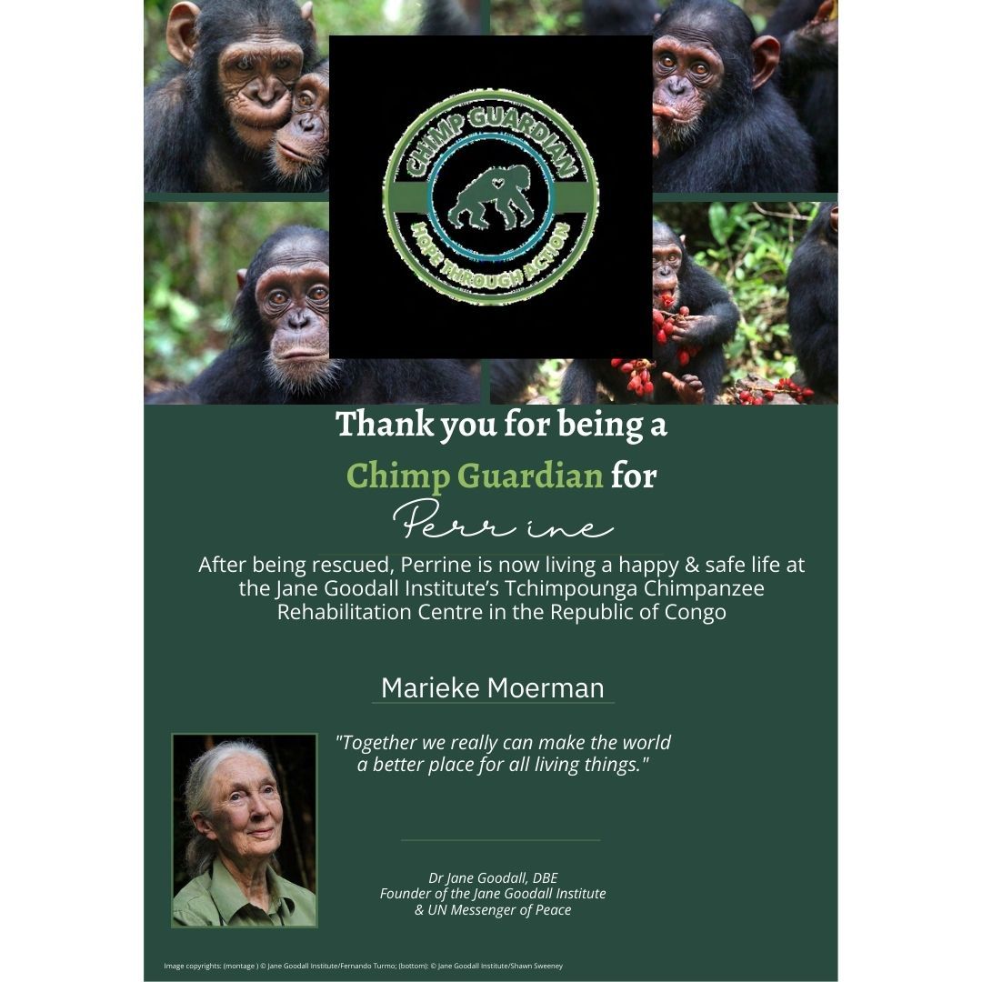 Een bedankkaartje voor het zijn van een chimpanseebeschermer