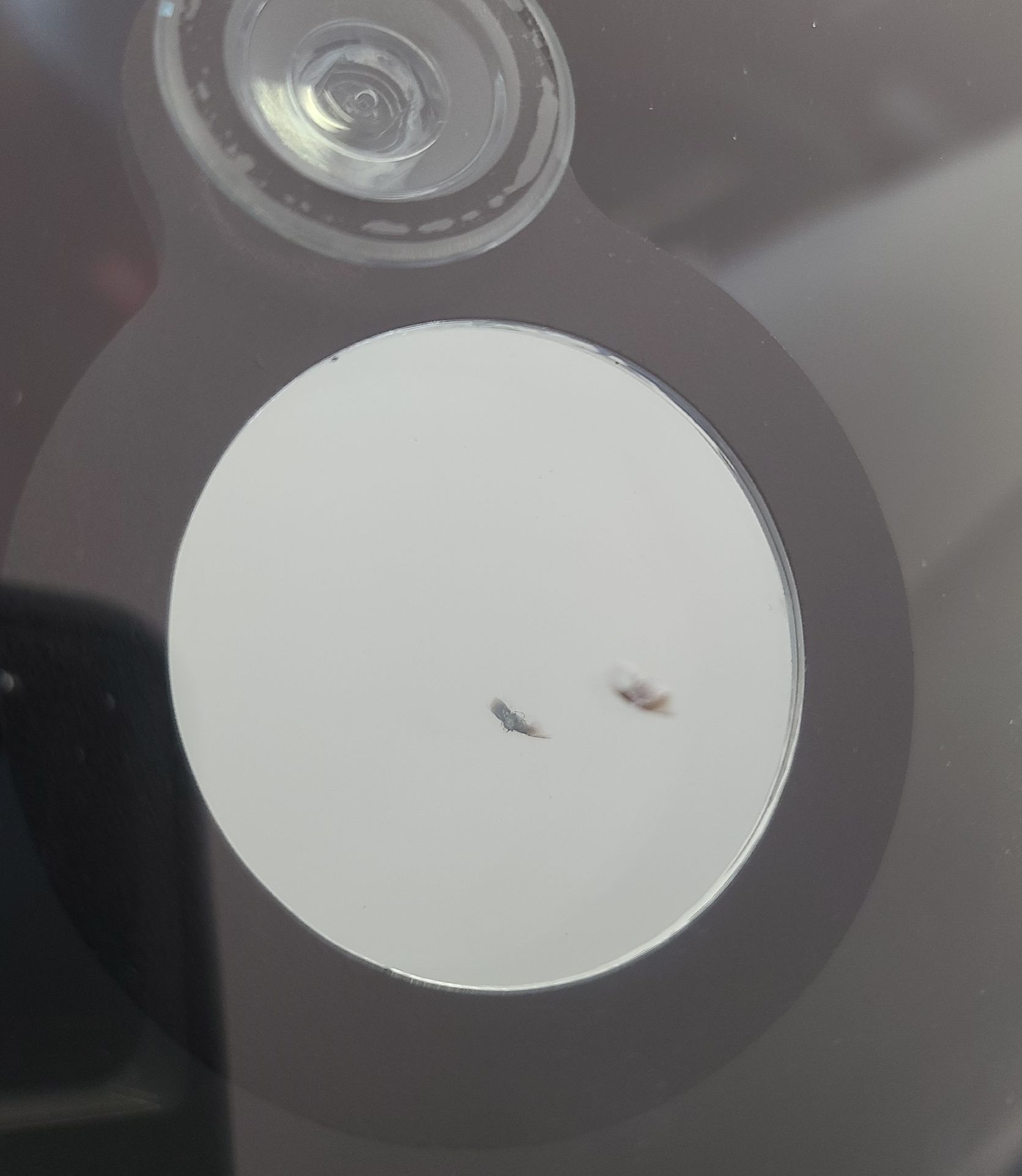 Before windshield repair in Austin, TX