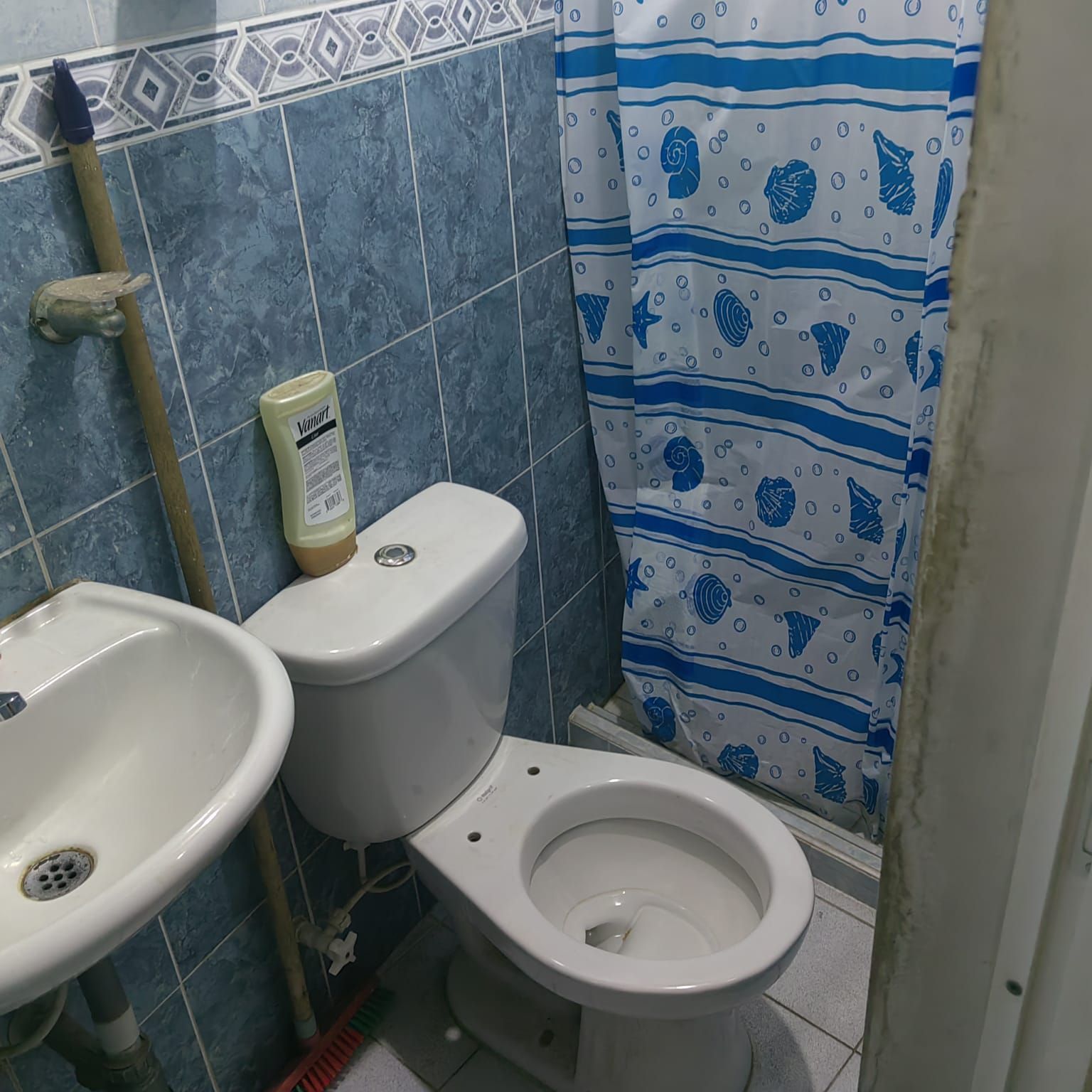 Un baño con inodoro, lavabo y cortina de ducha.