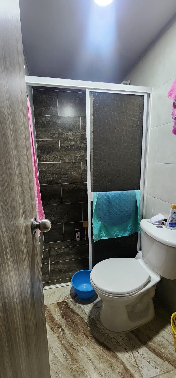 Un baño con inodoro, lavabo y ducha.
