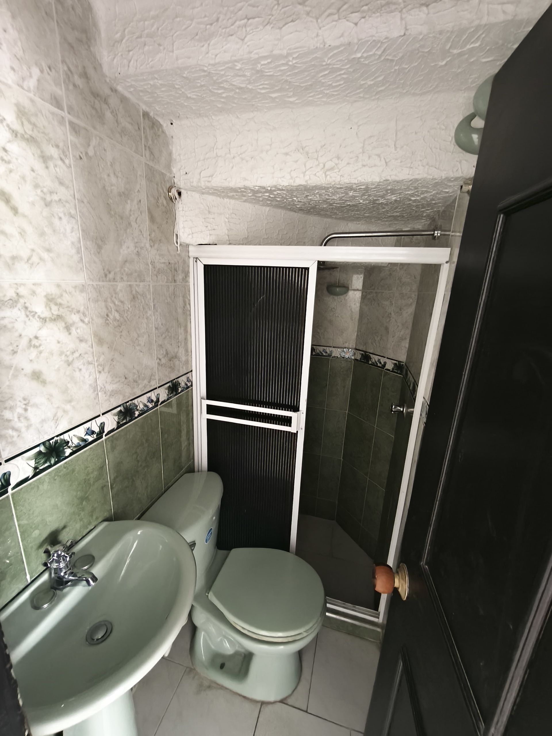 Un baño con inodoro, lavabo y ducha.