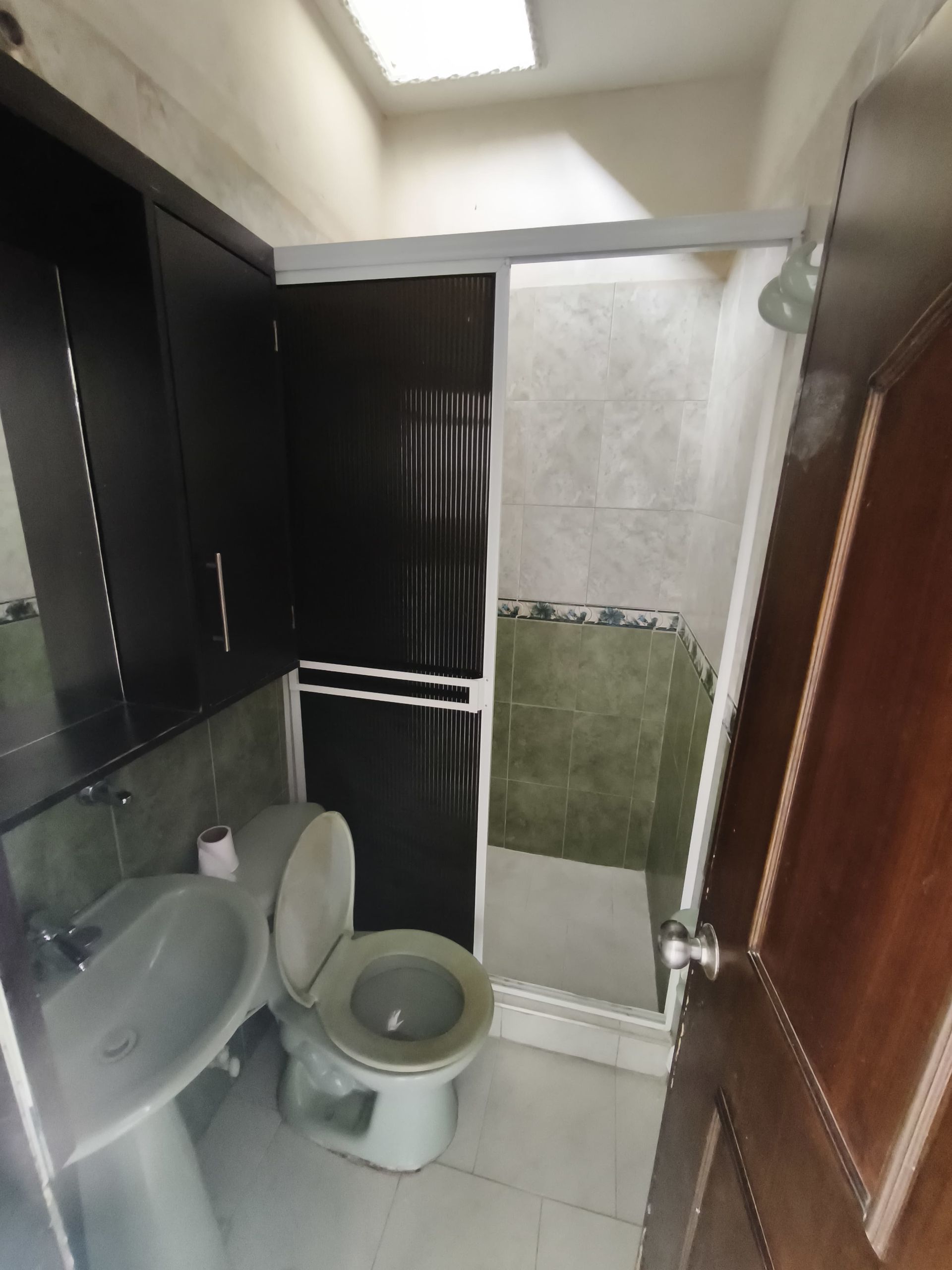 Un baño con inodoro, lavabo y ducha.