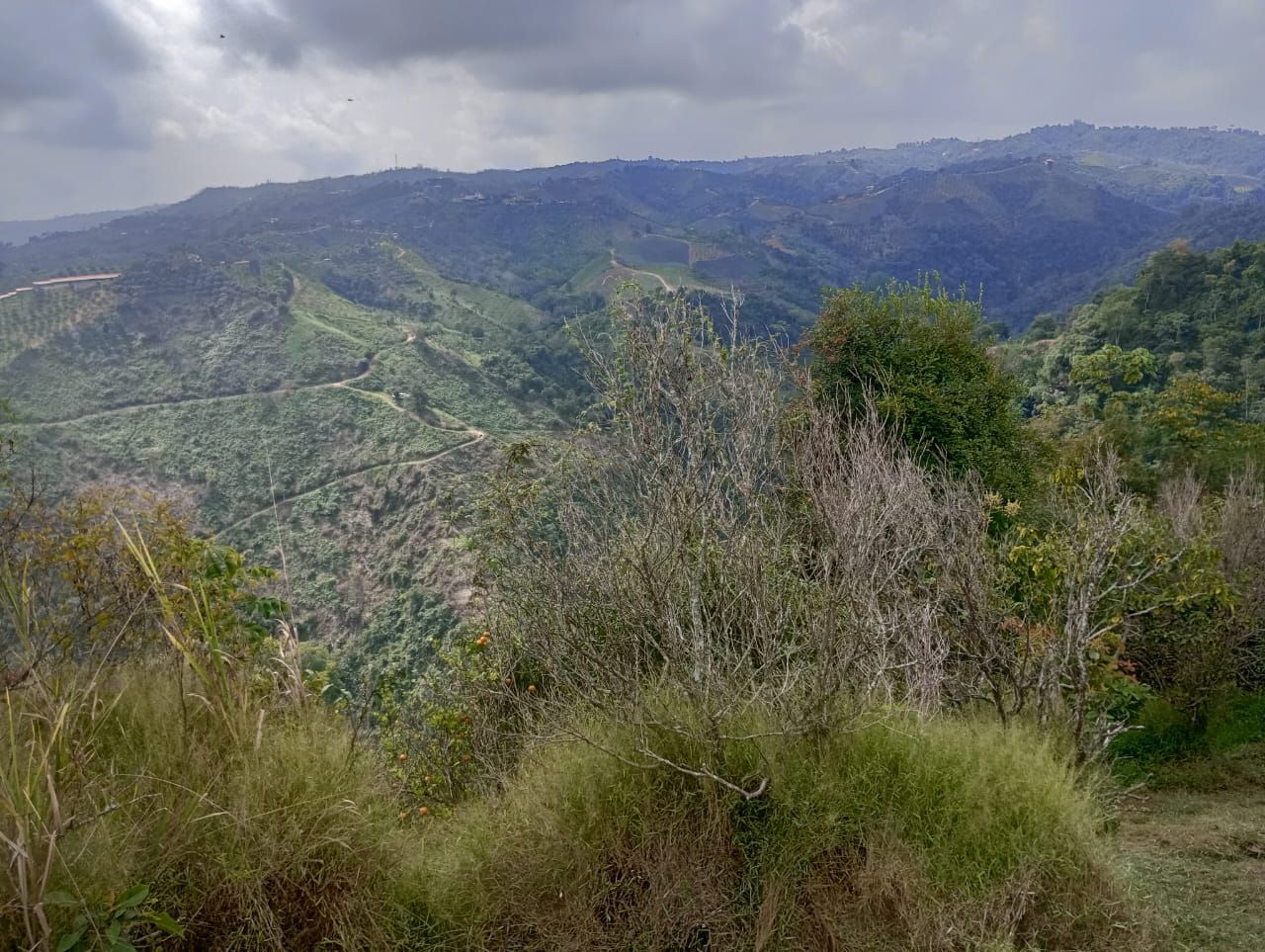 Una vista de una cadena montañosa con árboles y arbustos en un día nublado.