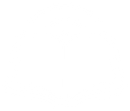 Talking Bibles International logo