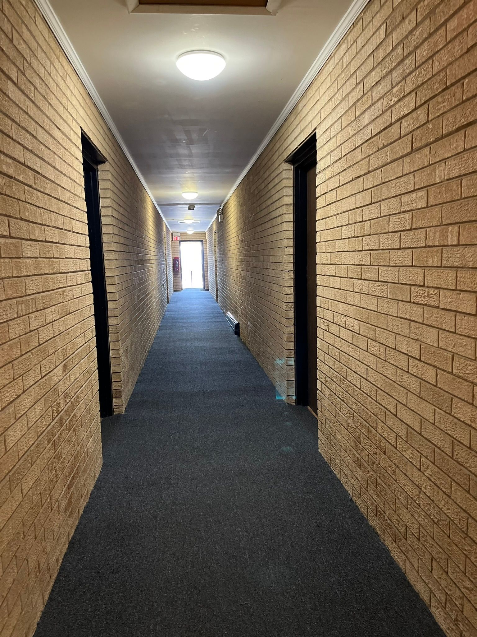 a long hallway with brick walls and a blue carpet .
