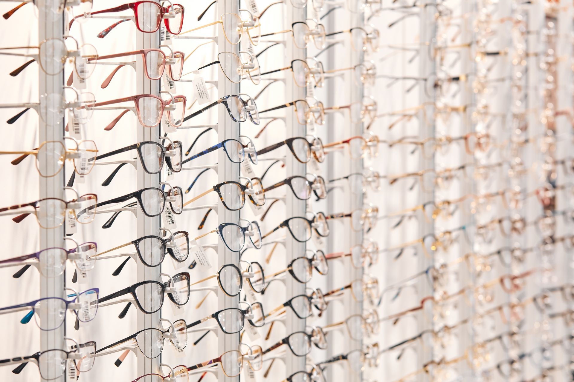 Eyeglasses displayed on shelves in an optical store.