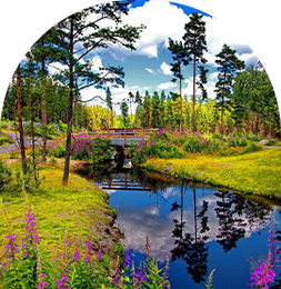 Lake Forest Park