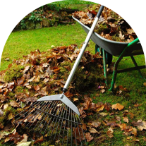 Rake Sitting Next to a Wheelbarrow Full of Leaves