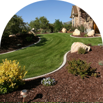 Lush Green Lawn