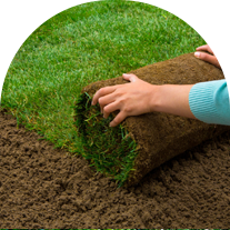 Installing Lawn