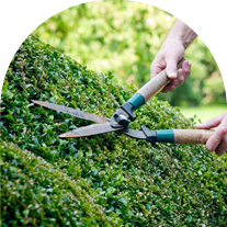 Hedging
