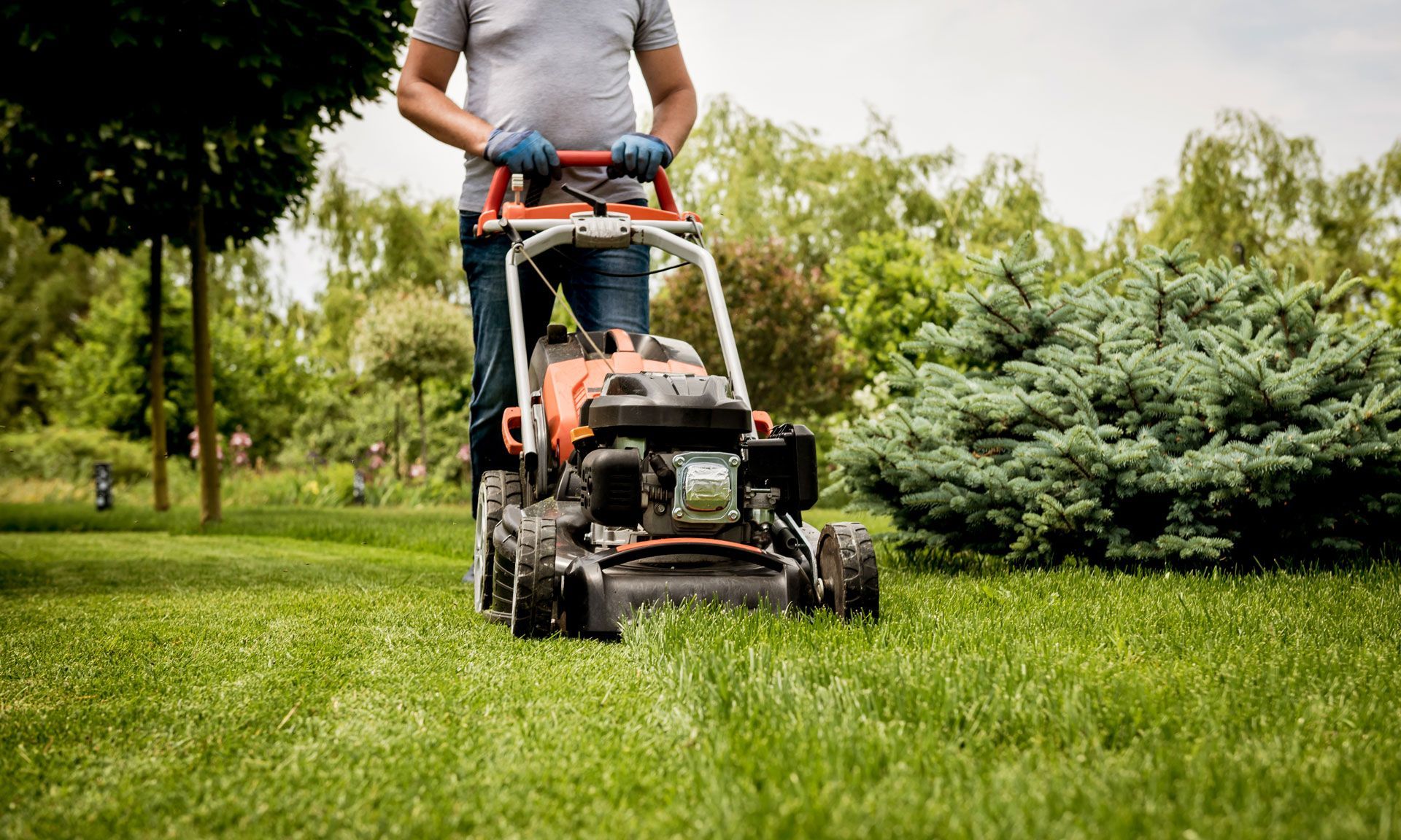 A man is using a lawn mower to cut the grass in a park.