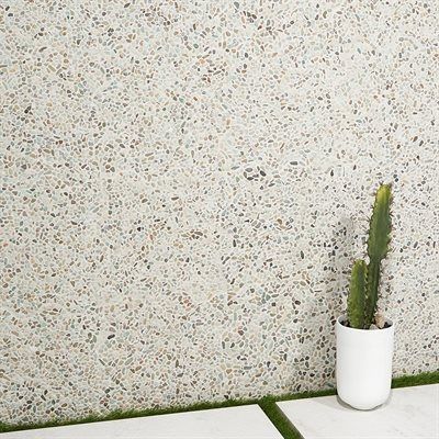 White terrazzo wall with potted cactus.