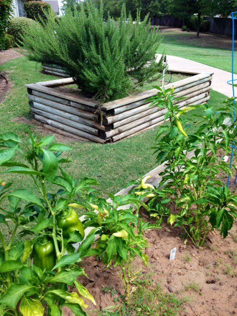 Garden — Arlington, TX — Castle Rock Assisted Living