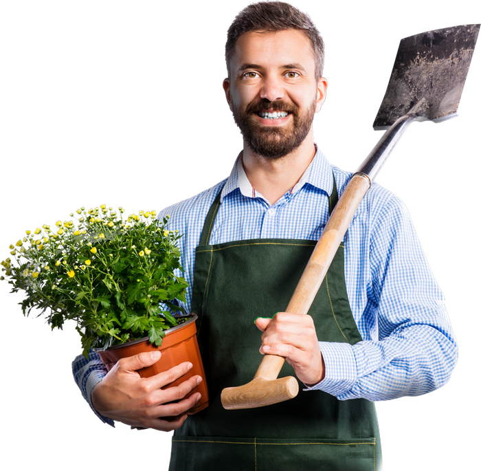 Male gardener holding a flower and a shovel