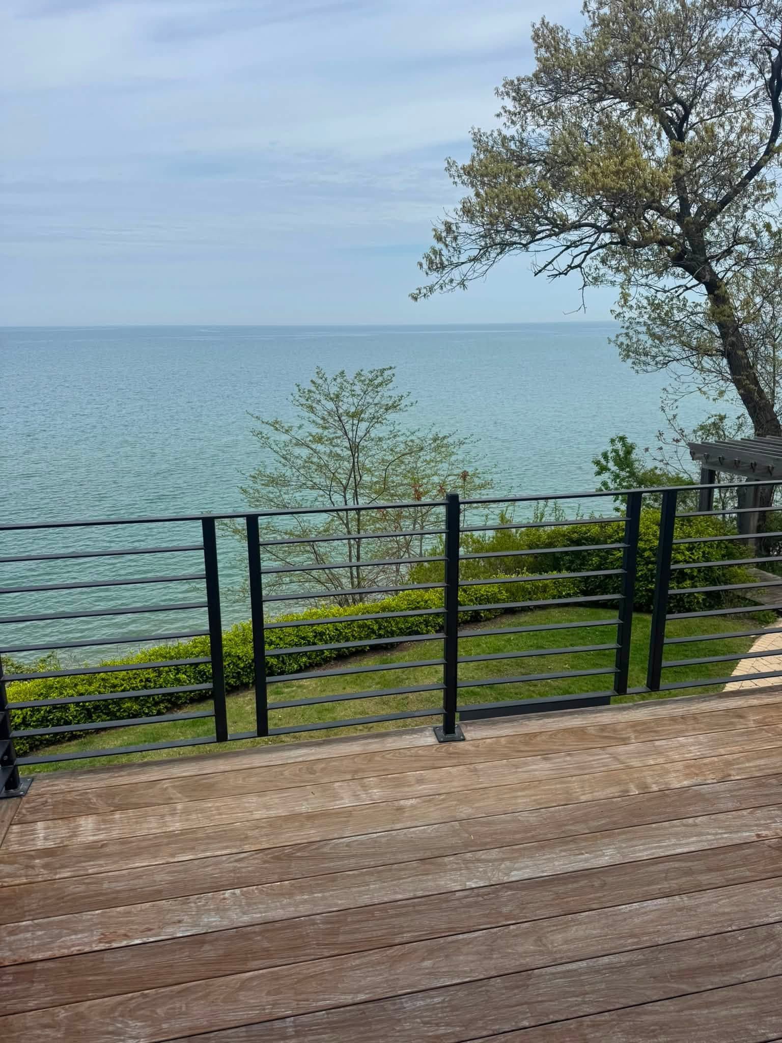 Lake view from a wooden deck with a black railing and a tree by the shore
