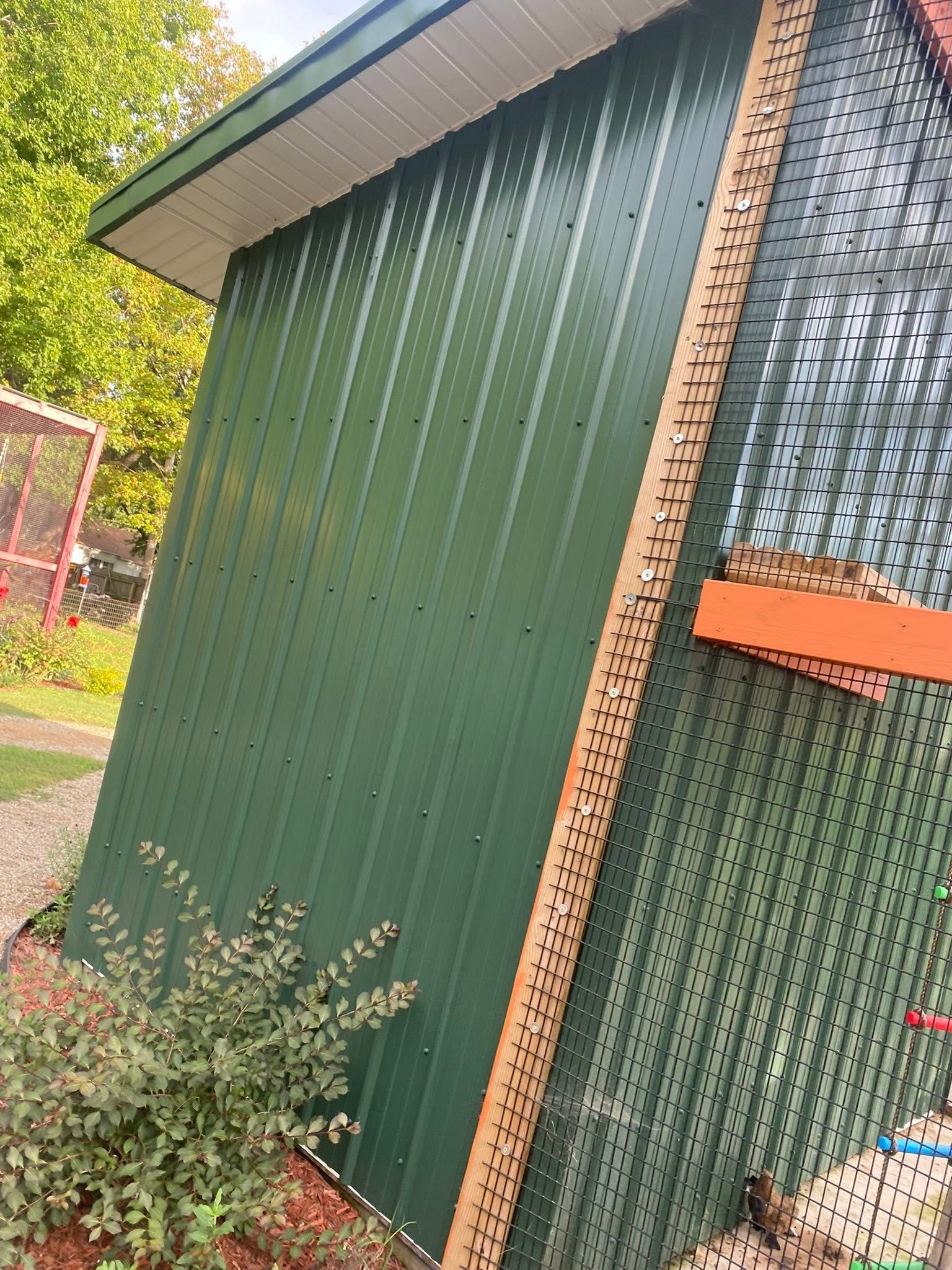 Green shed with a slanted roof beside a fence, surrounded by shrubs and trees.