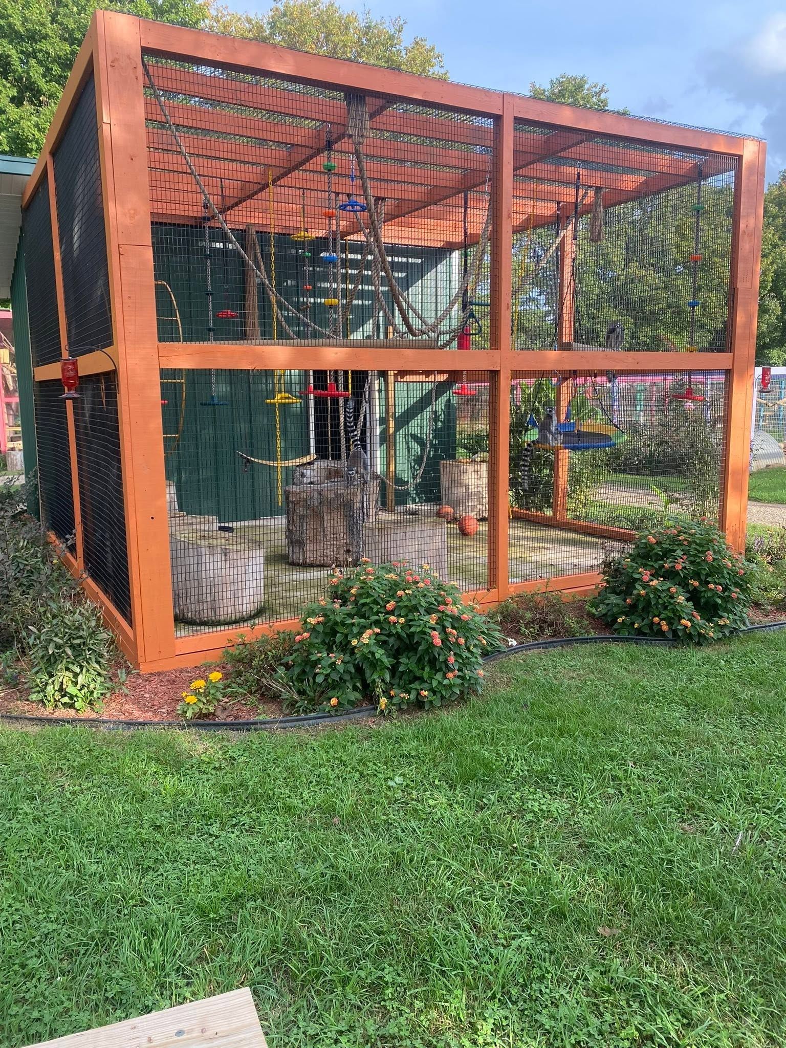 Orange-framed outdoor animal enclosure with wire mesh, surrounded by grass and shrubs.