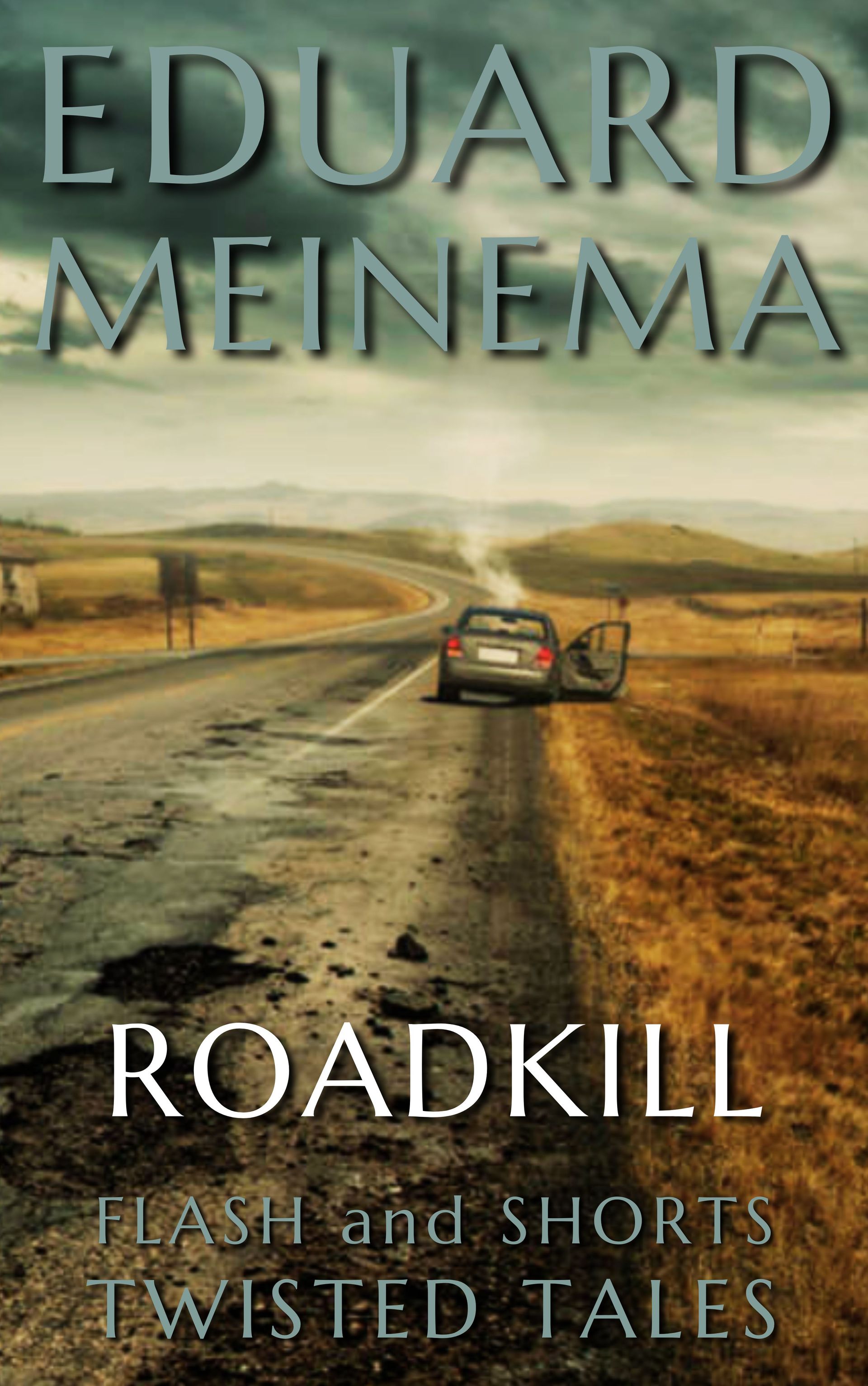 Bestel: Roadkill - Eduard Meinema Roadkill - Eduard Meinema