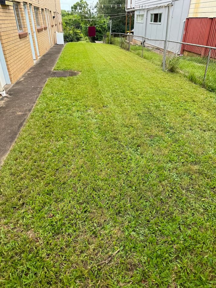 A lush green lawn in front of a brick building.