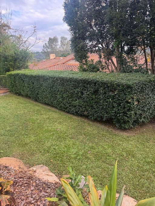 A man is using a lawn mower to cut the grass in a backyard.