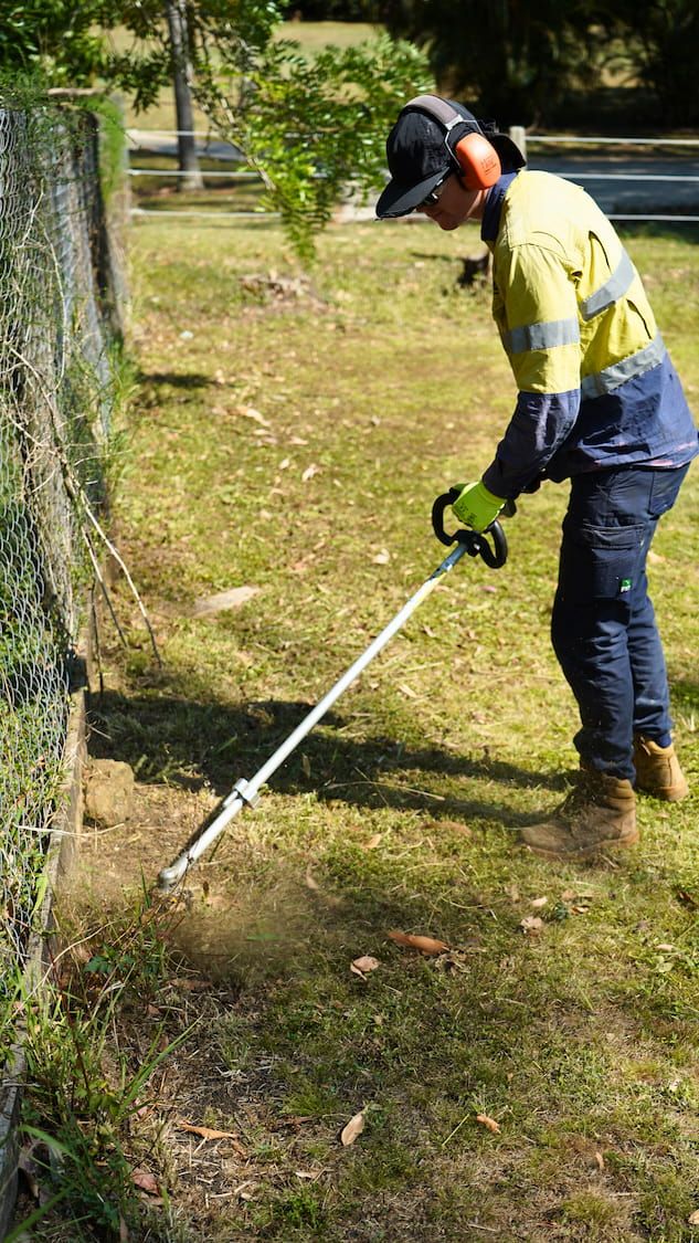 A lush green lawn in front of a brick building.
