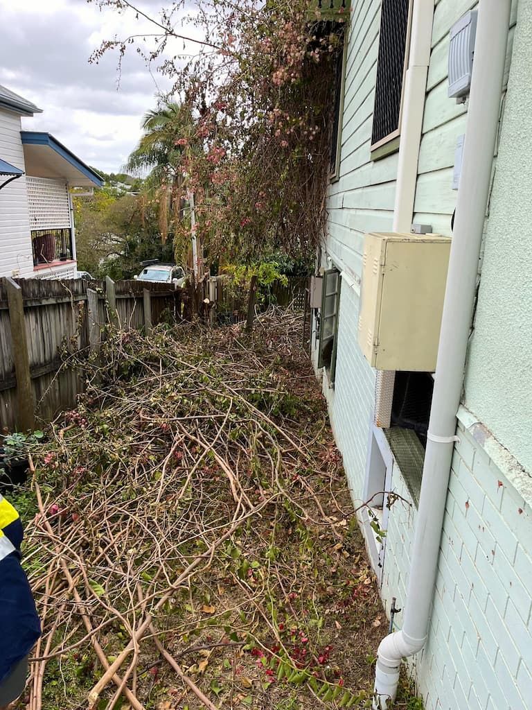 A man is using a lawn mower to cut the grass in a backyard.