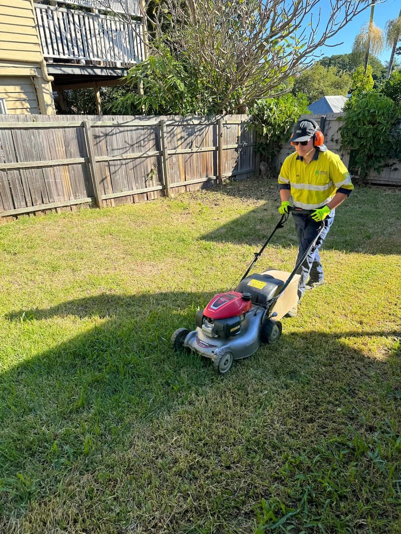 A man is using a lawn mower to cut the grass in an enoggera backyard.