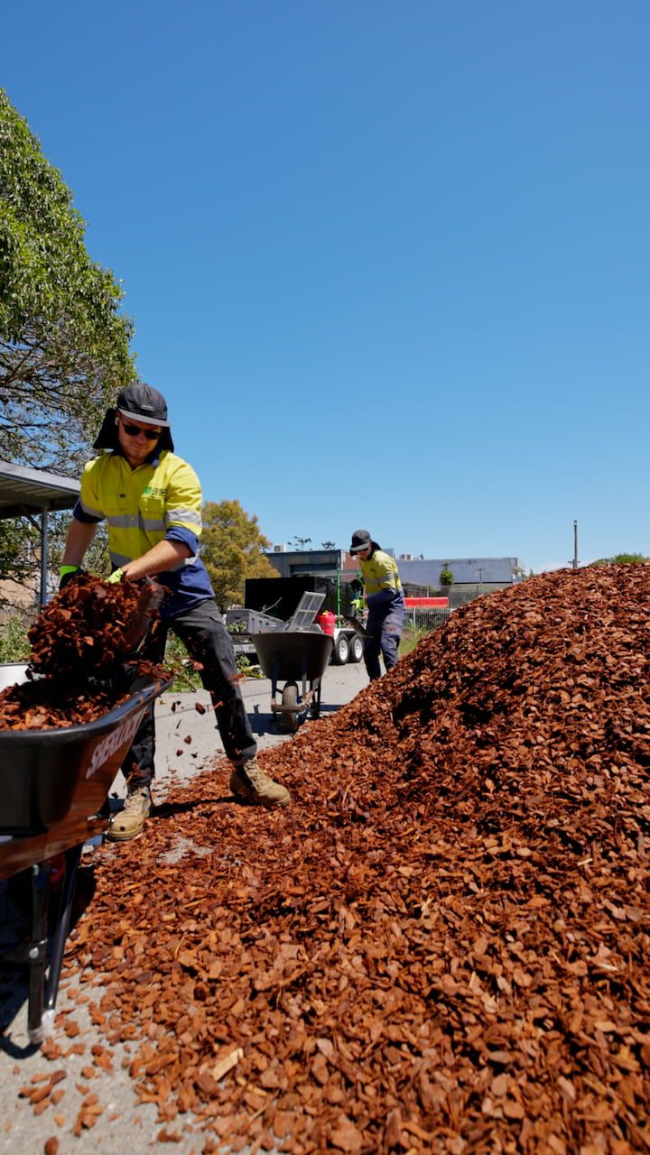A person pouring mulch onto the ground in Brisbane