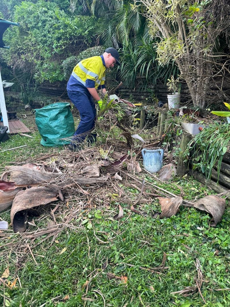 A man is standing in a pile of green waste in a yard in Taringa