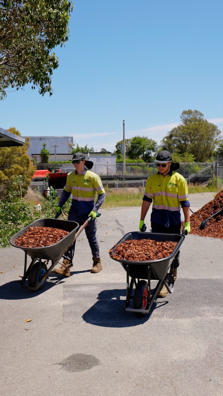 Two workers in reflective vests push wheelbarrows filled with mulch on a paved area. Bright blue sky.