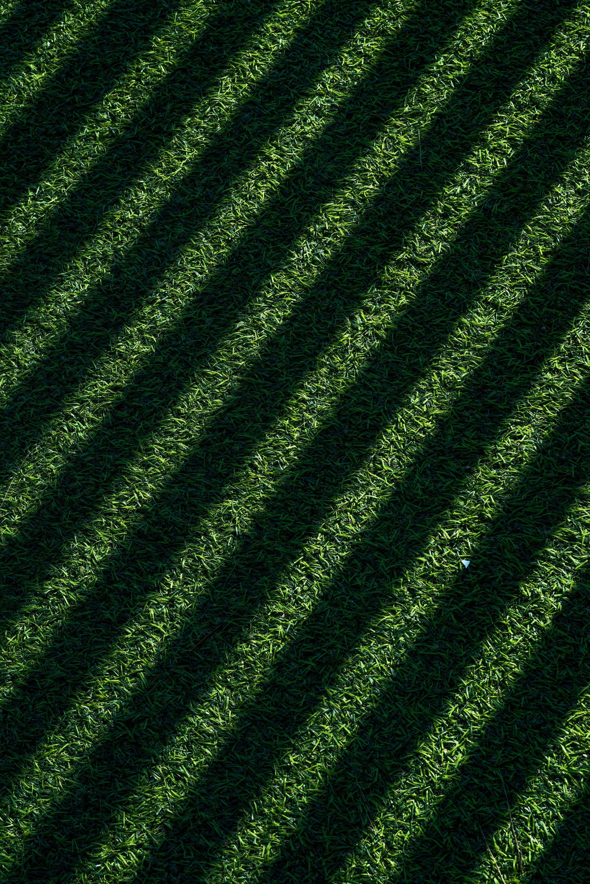 Diagonal dark and light green striped pattern resembling textured foliage or fabric